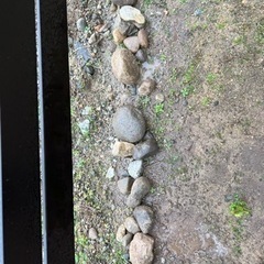 砂利　庭石　0円の画像