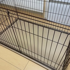 犬　ゲージの画像