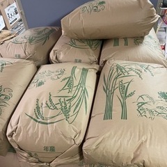 青森県　白神山地　源流米　もち米　30キロ