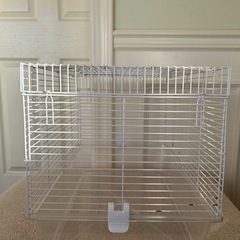 BUCATSTATEハムスターゲージ🐹500の画像