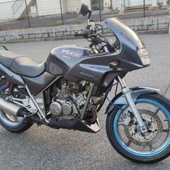 【値下げ】ゼルビス250