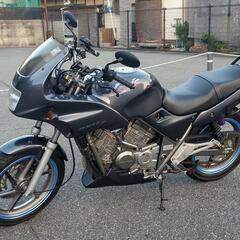 【値下げ】ゼルビス250の画像