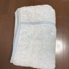 イオン　毛布　水色　洗濯済
