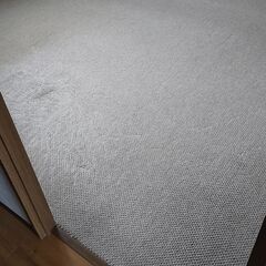 カーペット⇒フローリングにしませんか？