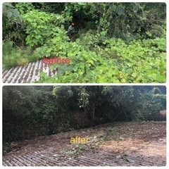 伐採・草刈り・庭木剪定・竹伐採のお仕事依頼募集中 - 手伝いたい/助けたい