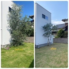 伐採・草刈り・庭木剪定・竹伐採のお仕事依頼募集中 - 米子市