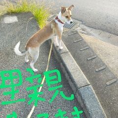 助けて下さい − 沖縄県