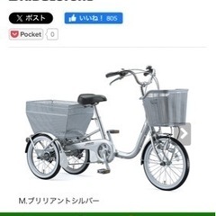 3輪自転車 大人用三輪車 ブリジストン ワゴン