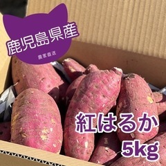 鹿児島県産　紅はるか(5kg)