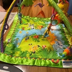 ジャンク！Fisher Price フィッシャープライス レイン...