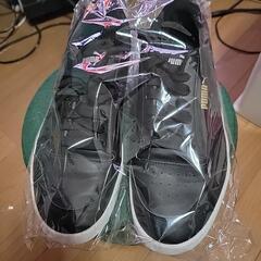 PUMA27