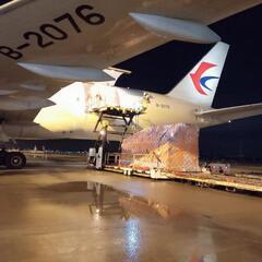 ✈️オンライン通関士講座+α🚢の画像