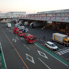 ✈️オンライン通関士講座+α🚢の画像
