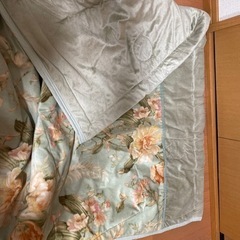 予定者決定★シングル　毛布