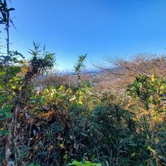 （感謝御礼契約済）相模湾から富士山の絶景を独り占めする土地 287㎡ - 土地販売/土地売買