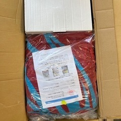 パラグライダー 新品未使用