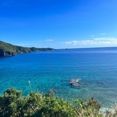 宮古島12/12〜12/14遊べる人募集🐶