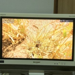 液晶テレビ