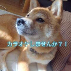 本日4月9日 昼カラオケ🎤しませんか？！