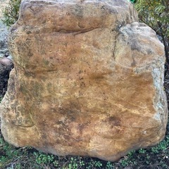 庭石いりませんか？
