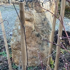 庭石いりませんか？の画像