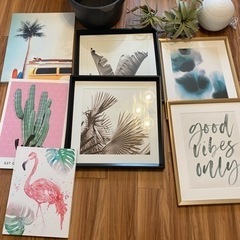 [無料]食器・カラーBOX・雑貨の画像