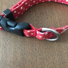 Toto&Pal  犬の首輪の画像