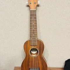 hanalei ウクレレ　HUK-300 来週まで