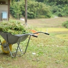 草刈り！