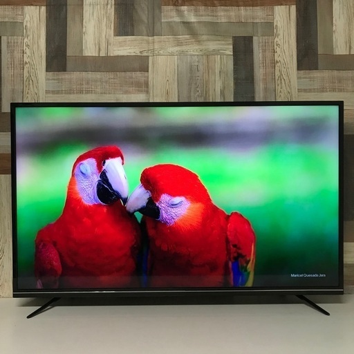 即日受渡❣️50型4K対応液晶TV  Wチューナー搭載裏番組録画34500円