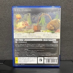【ps5】ワイルドハーツ の画像