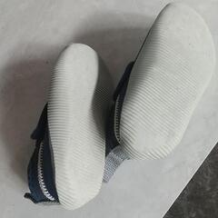 １５センチマリンシューズの画像