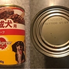 ドッグフードやワンちゃん関係の物