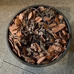 観葉植物の土&植木鉢の画像