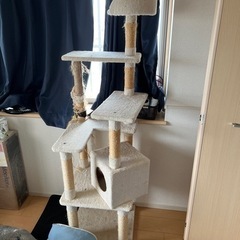 キャットタワーの画像