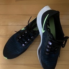 NIKE エアズームペガサス37の画像