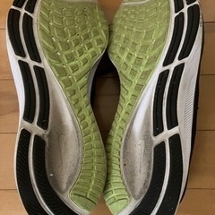 NIKE エアズームペガサス37の画像