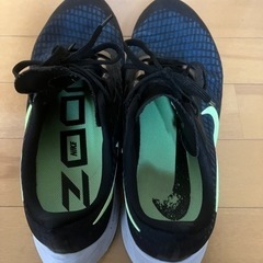 NIKE エアズームペガサス37の画像