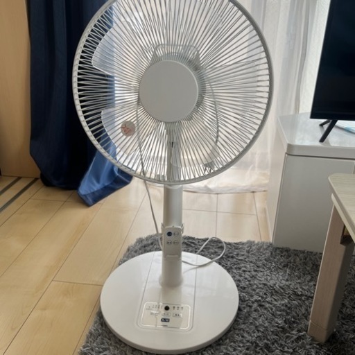 扇風機（30cm）