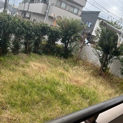 草刈りをお願いしたいです。