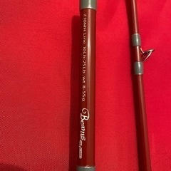 フィッシュマン　Beams 7.10MHの画像