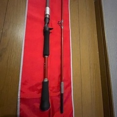 フィッシュマン　Beams 7.10MHの画像