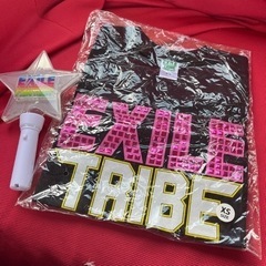 EXILE2012LiveTシャツとEXILE2010Liveペ...