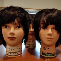 カット練習用マネキンの画像