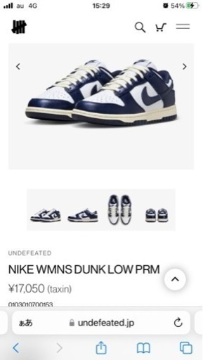 NIKE DUNK LOW WMNS PRM 27cm