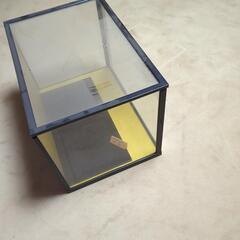 人形ケースの画像