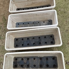 （受付終了）大きめプランター×4の画像