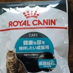 猫　ご飯　ロイヤルカナン
