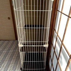 ペット用ケージ 猫用ケージの画像