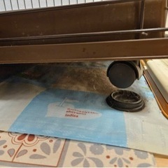 受け渡し予定者決定しました】ペット用ゲージ 中古品の画像